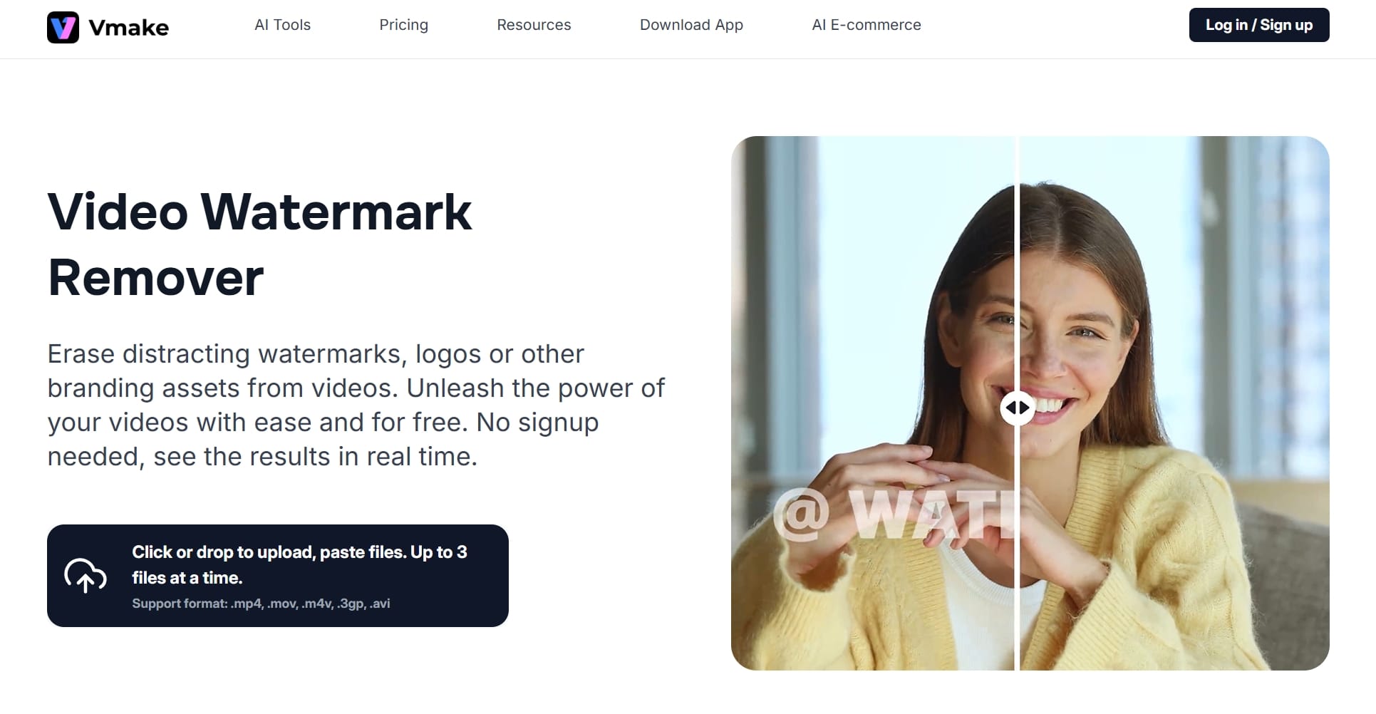 Video Watermark Remover